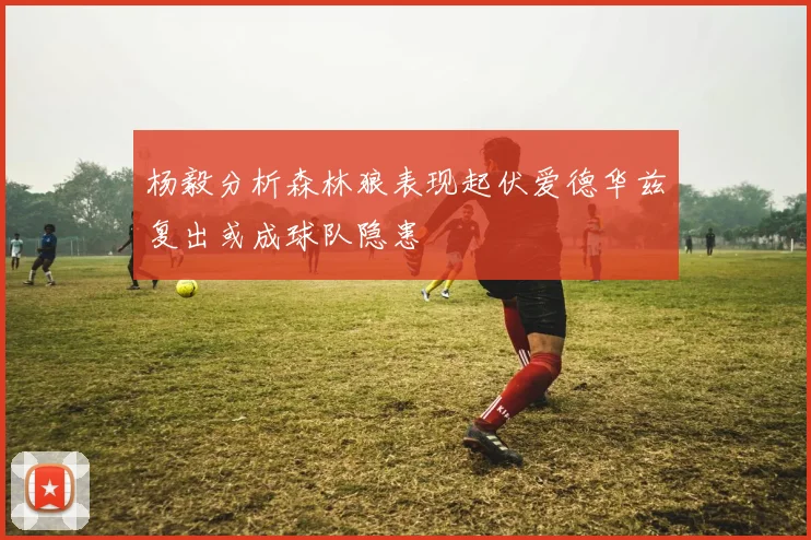 杨毅分析森林狼表现起伏爱德华兹复出或成球队隐患